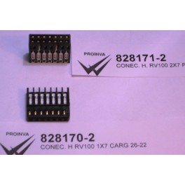 828170-2