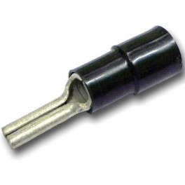 ANE5-P16